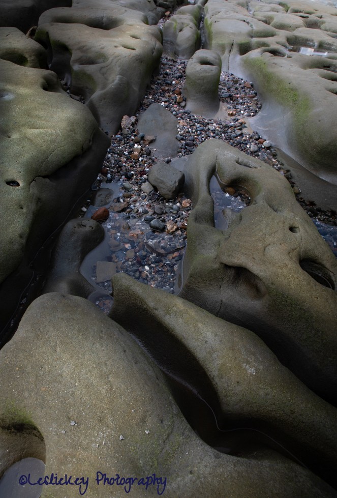 2 Sea Sand Stone and Shell CR LR .jpg (1 of 1).jpg