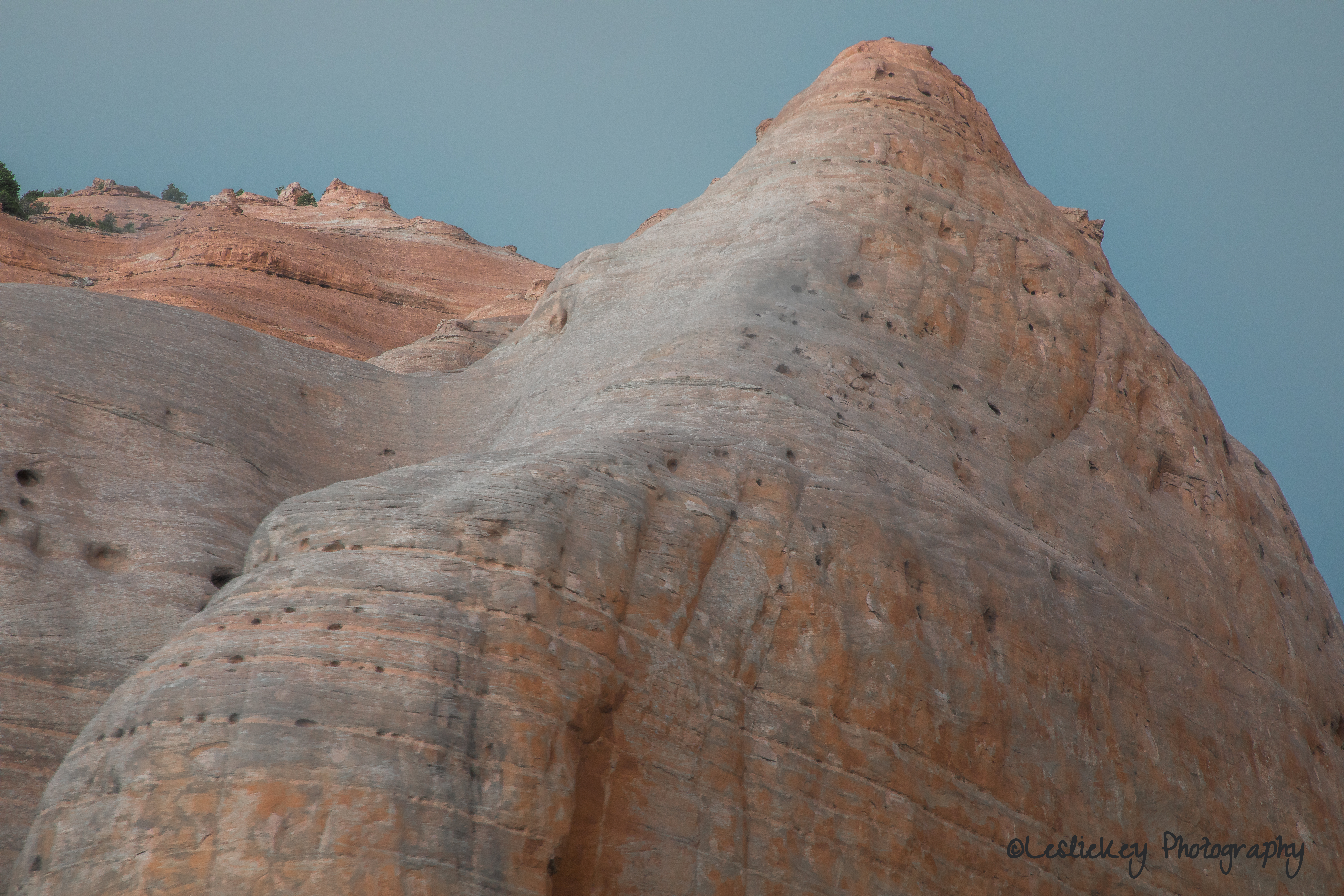 Traces CR LR .jpg (1 of 1)