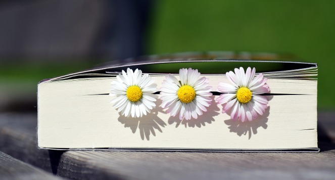 book with white and yellow flowers sticking out